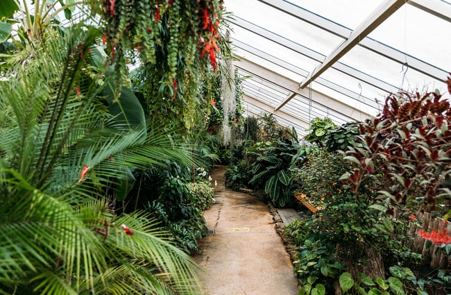 A glass house full of plants.