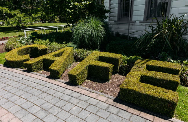 The word 'cafe' carved out in a buxus hedge.