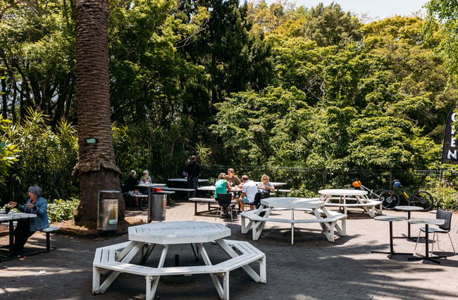 White picnic tables outside Victoria Esplanade cafe in Palmerston North.