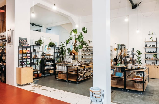 Overview of Wellington Apothecary interior filled with plants and wellbeing products on shelf