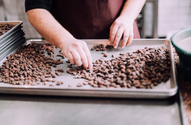 A hand picking out beans.