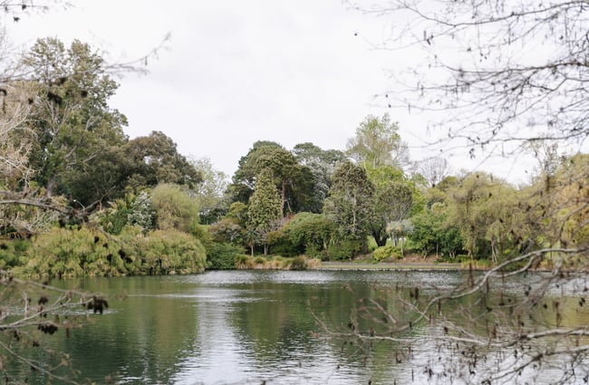 A view of a lake and trees on a cloudy day.