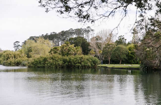 A dark looking lake with tress scattered around on a cloudy day.