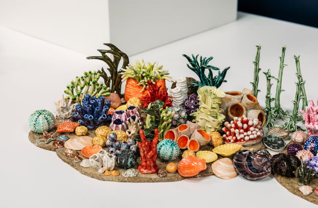 Coral ceramics on a table.