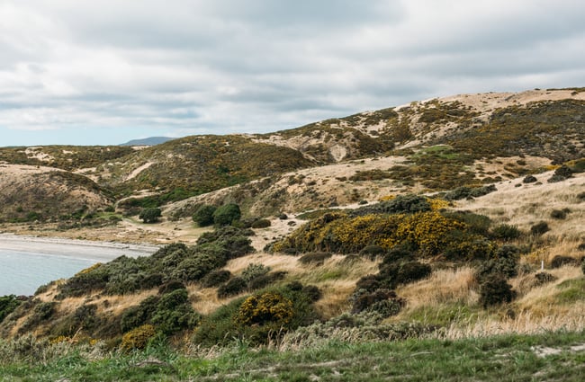 Grassland and hills overlooking the sea.