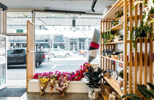 The window display inside Wild River and Co.