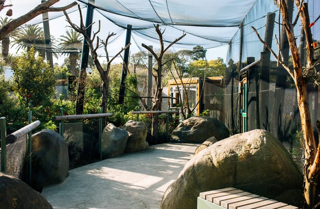 The area for rescued birds covered to keep the birds in.