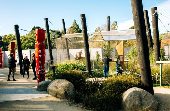 A walkway with big rocks and native bushes.