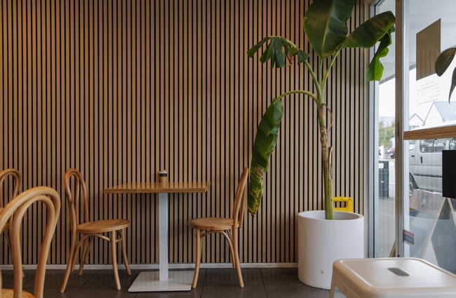 Plant next to a table and chairs at Woods Cafe.