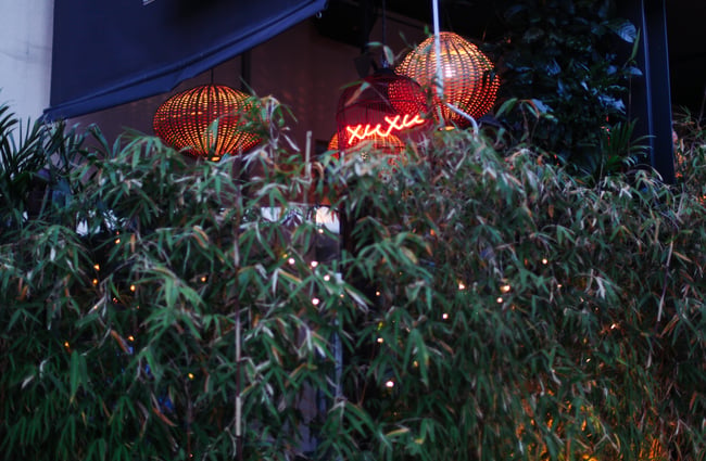 Plants and lights outside.