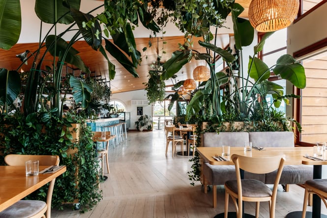 Dining space at Del Mar in Ōamaru overrun by huge plants