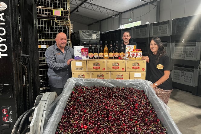 Staff at Eden Orchards sitting behind a large pile of cherries.