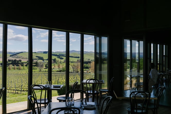 Black Estate dining room looking out towards the green vines