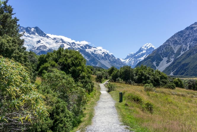 Kea Point Track in Canterbury on a sunny day.