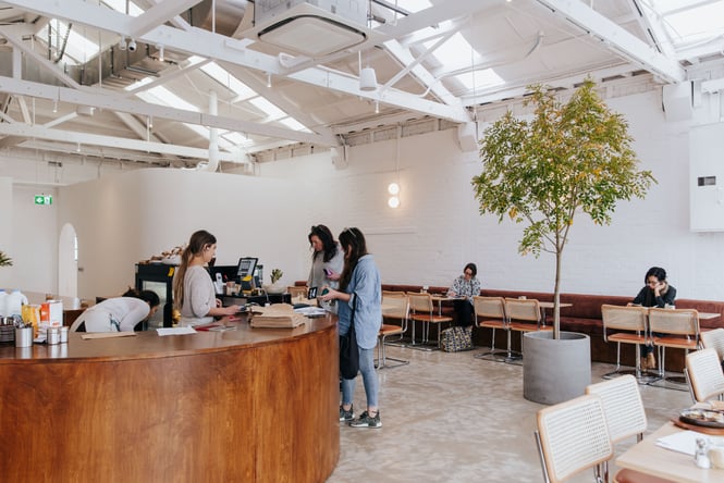 Interior view of Child Sister with tree in concrete planter and customers dining.