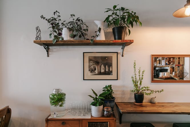 Wooden furniture and bookshelves inside Six Ounces.