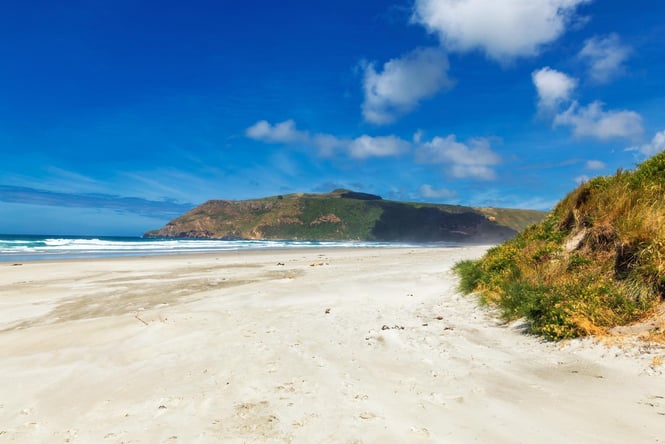 Allans Beach on a sunny day.
