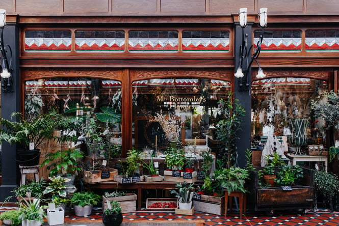 The front entrance to Mrs Bottomley's Flowers decorated with potted green plants.
