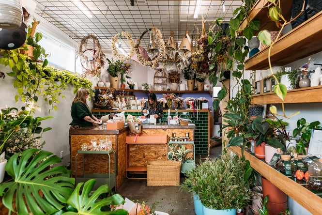 Staff working behind a floristry counter at the back of a small space full of green houseplants.