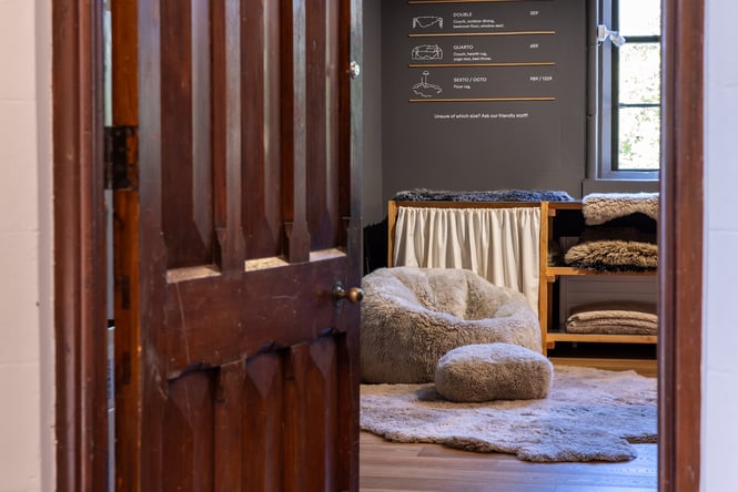Looking through the door of Wilson & Dorset in the Arts Centre with sheepskin rugs and beanbag on the ground
