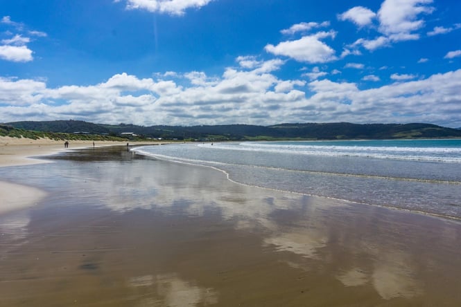 Zane Carter. View of Porpoise Bay in The Catlins.
