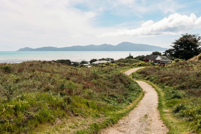 Trail through Queen Elizabeth Park with the view of the ocean in the background.