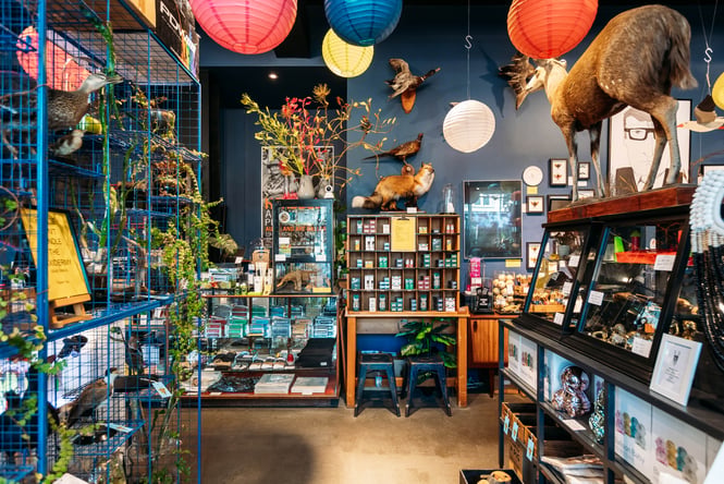 The inside of Brown & Co Wellington.