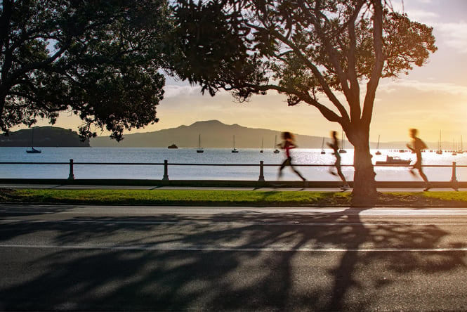 Joggers running along Tamaki Drive.