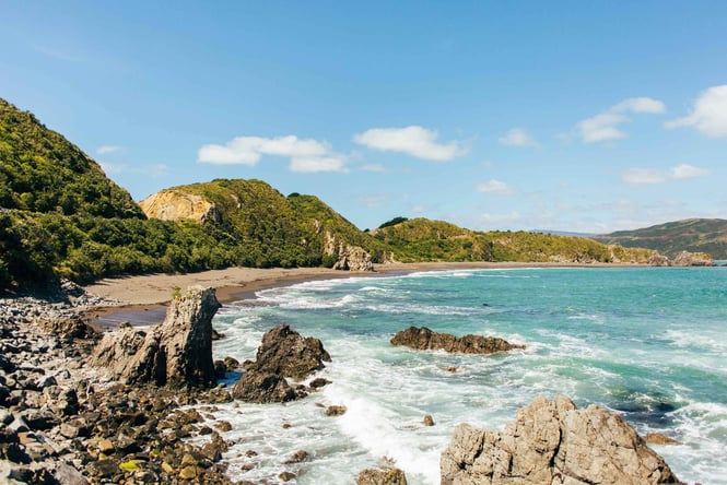 Breaker Bay in Wellington.
