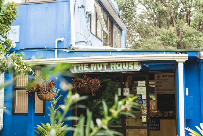 Blue building exterior surrounded by bush.