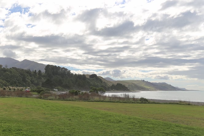 A grassy campsite next to the ocean on a cloudy day.