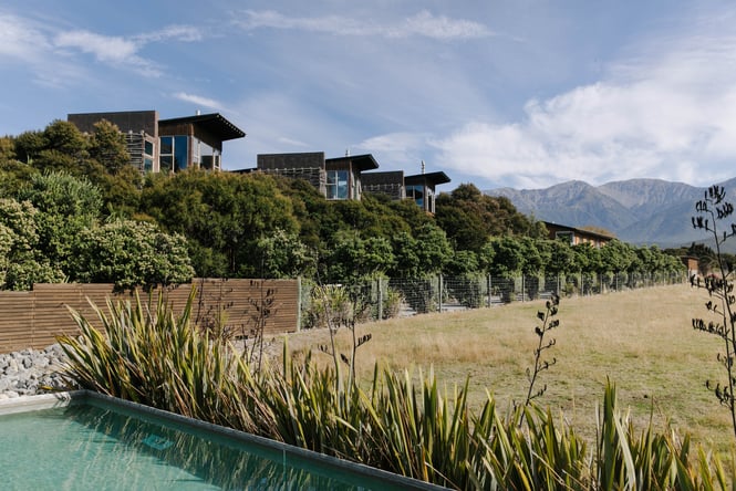 Hapuku treehouses on a sunny day.
