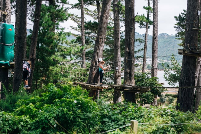 A woman on high ropes in trees.