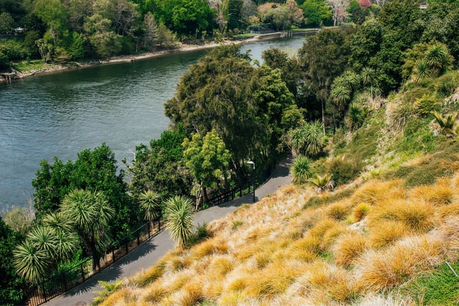 The Waikato River.