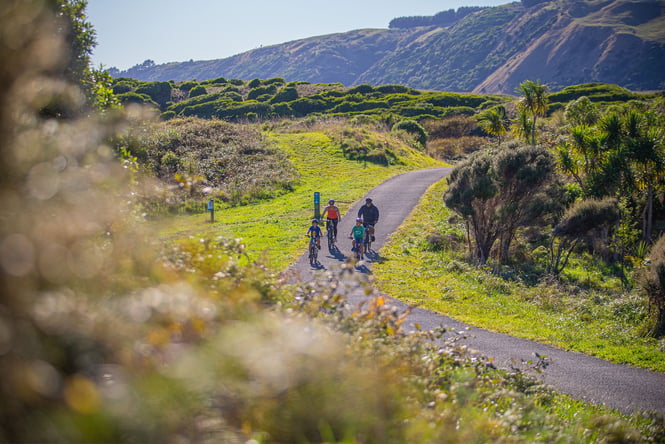 People biking along a gravel track lined by grass and bush.