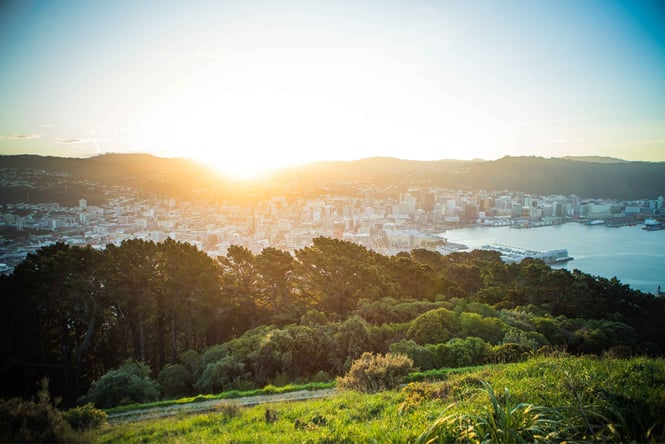 A view of a sunset from Mt Victoria Town Belt.