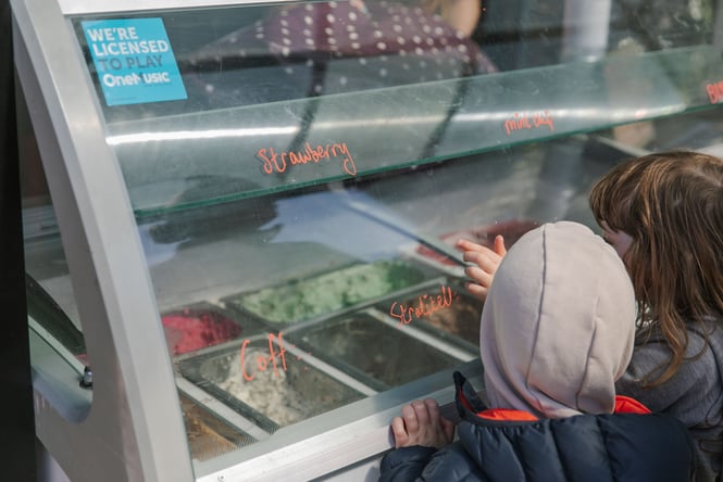 Two kids looking at the gelato cabinet.