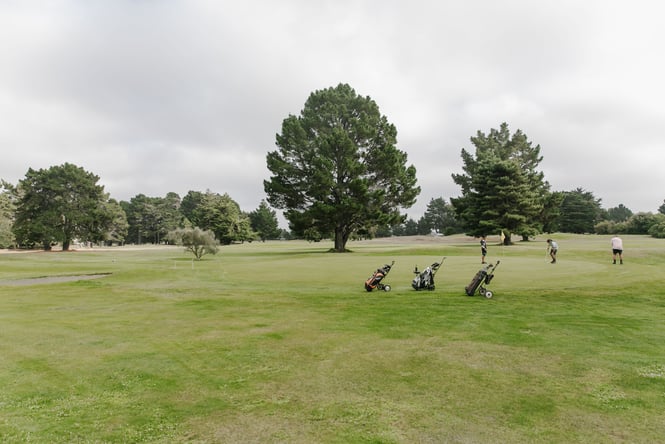 Golfers playing on the Rawhiti Golf Course on a sunny day.