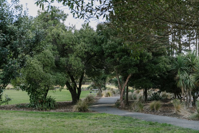A park filled with lush green trees.