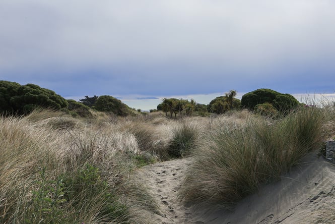 A sandy hill at the New Brighton beach.