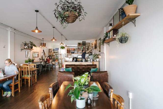 Cafe interior of six ounces in Christchurch with plants and an eclectic mix of furniture