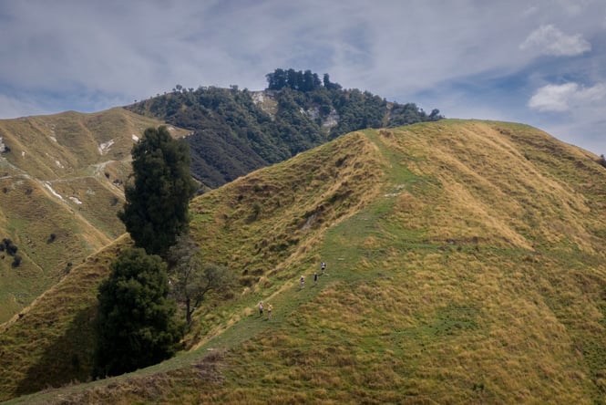 A view of Drysdale Station from above.