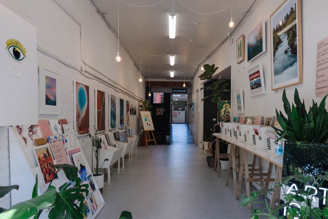 The inside of Endemic World gallery in Auckland.