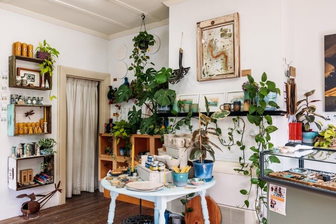 Plants and other items for sale at Frank's Corner.