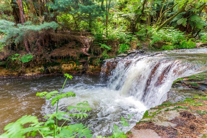 Rays of sunshine beaming through the gaps in the trees onto the small waterfall.
