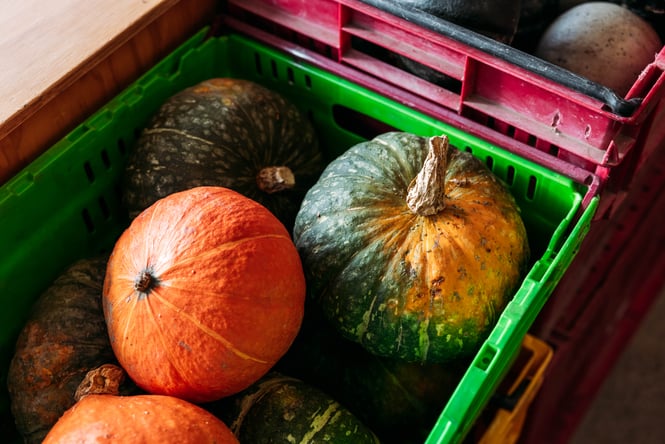 A close up of pumpkins.
