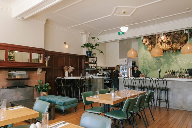 Beautiful cafe interior with shades of green, plants and foliage