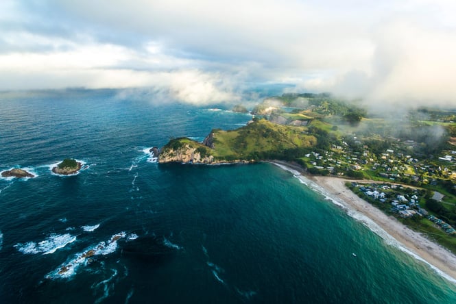 Hahei beach from above.