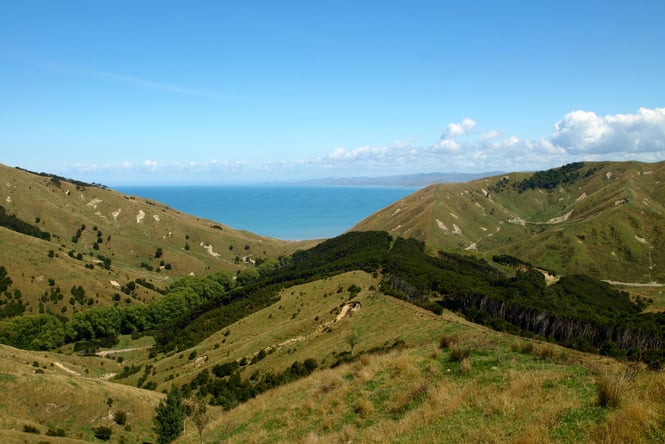 Mahia Peninsula on a sunny day.