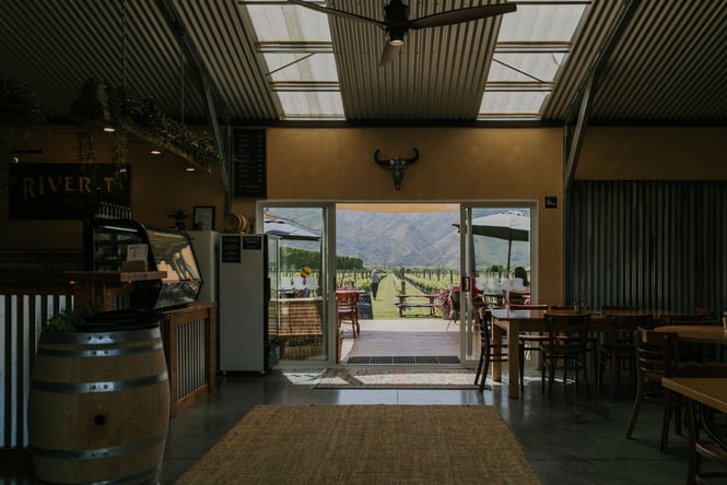 A view of the vines from inside River-T's tasting room.